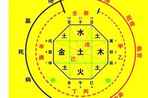 八字 十神 查詢|生辰八字算命、五行喜用神查詢（免費測算）